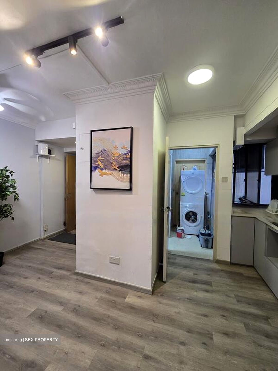 Lucky Plaza (D9), Apartment #492221251